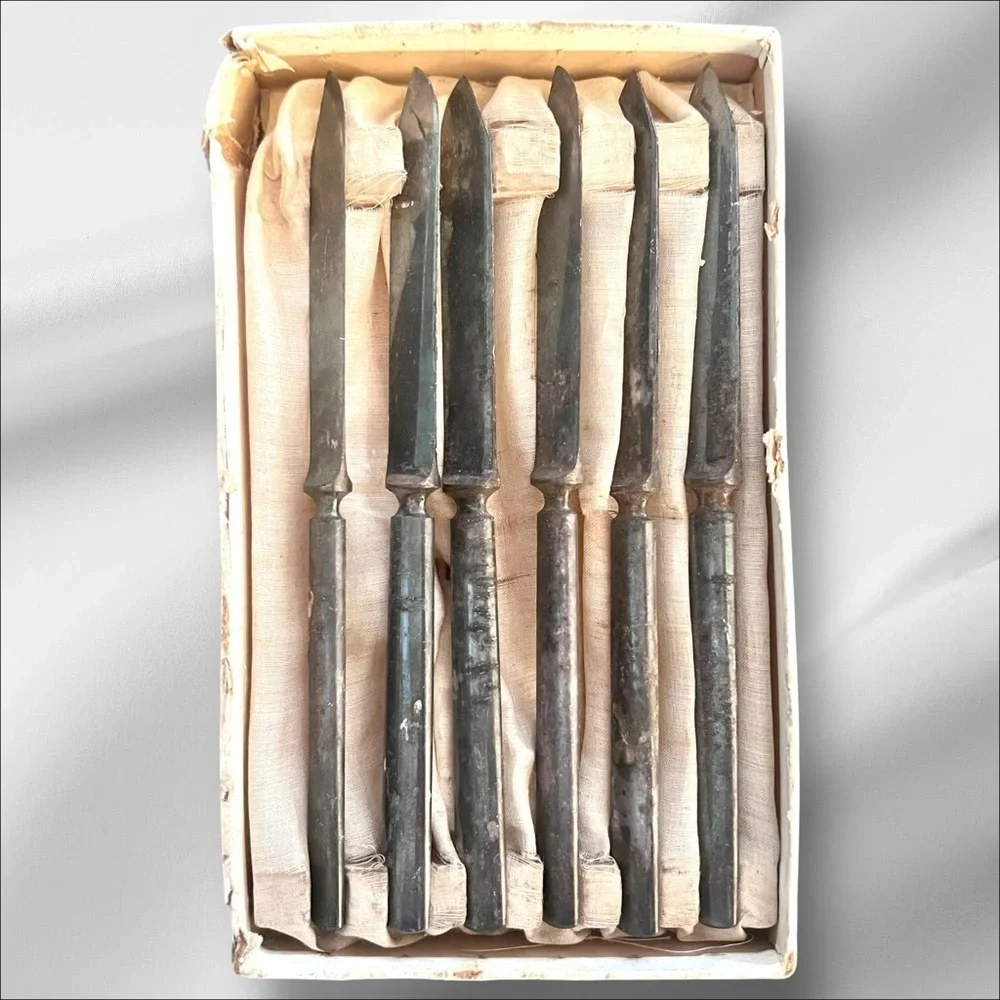 VTG Rogers & Hamilton Silver Plate Fruit Knives Stainless Steel 6 pc Orig Box 6”
